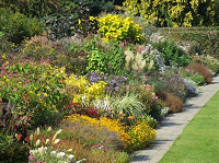 Herbaceous Borders by Graham Pattison